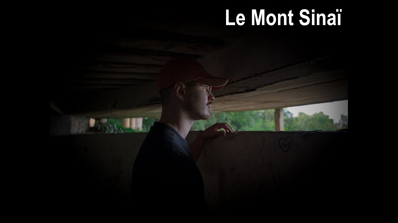 Randonnée on a découvert des bunkers cachés en pleine forêt
