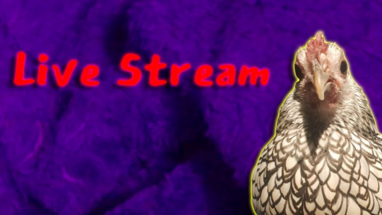 Five Nights At Freddys Stream 11 (Not Ending Stream Until I Beat 10/20 Fnaf 2)