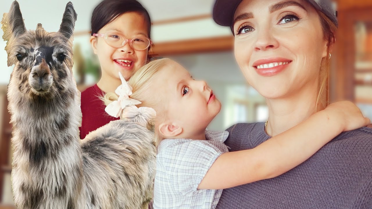 Buying an ATV, painting the house + Llamas meet horses! \\ Day in our Hobby Farm Life!