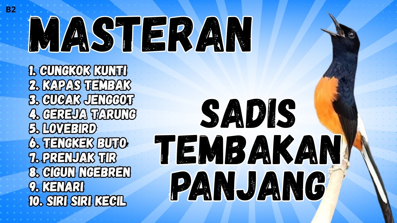 🔴 GACOR SADIS MENTAL KUAT MASTERAN MURAI BATU GACOR