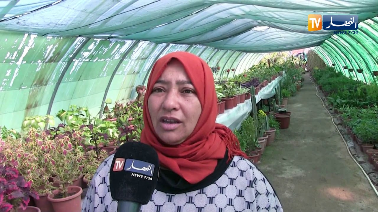 الطارف: السيدة وردة تحقق مشروع المشتلة الحلم بمجهوداتها الكبيرة