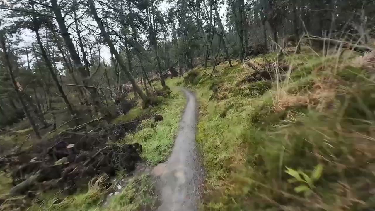 Ballyhoura MTB   DLR (2nd bit, downhill)