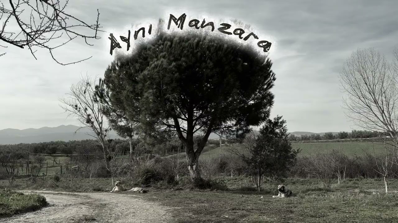 Tesadüfler – Aynı Manzara (Melankolik Indie Rock)