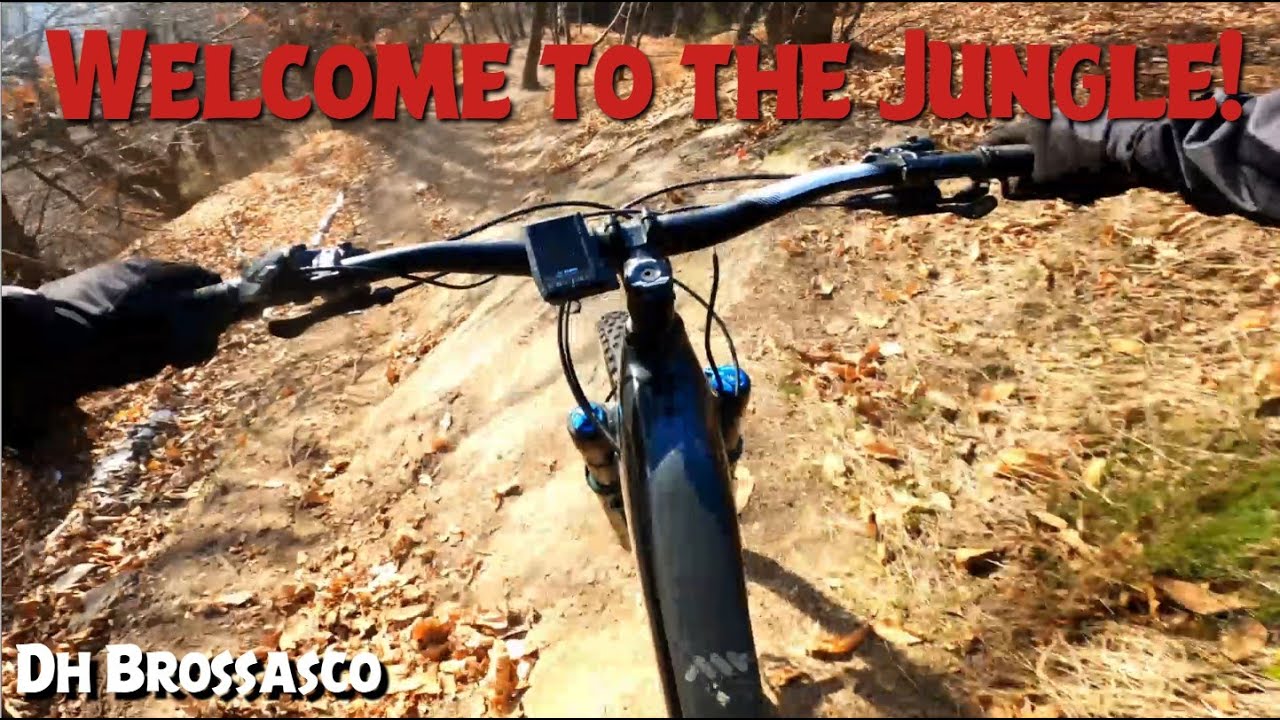 Welcome To The Jungle!   (DH Brossasco)