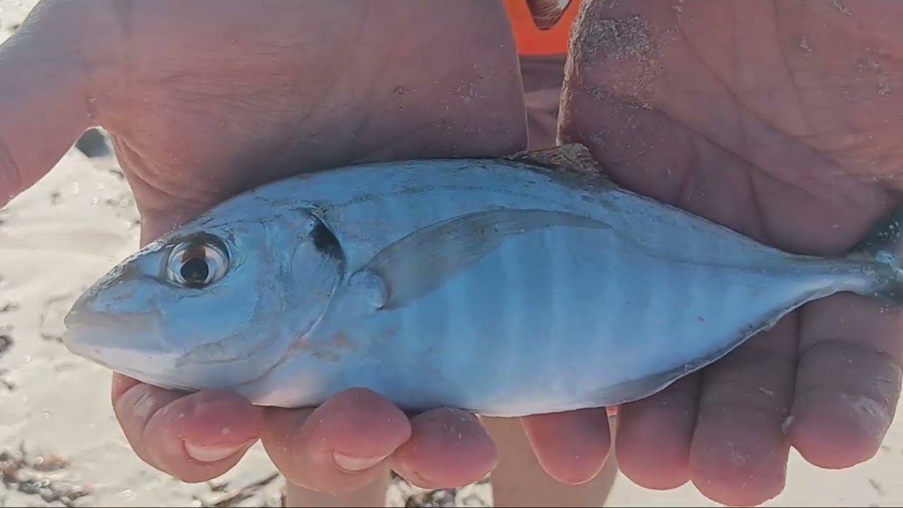 Beach Day | Wonnerup Beach | Busselton