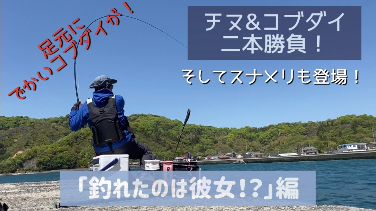 チヌ&コブダイ二本勝負！　「釣れたのは彼女！？」編