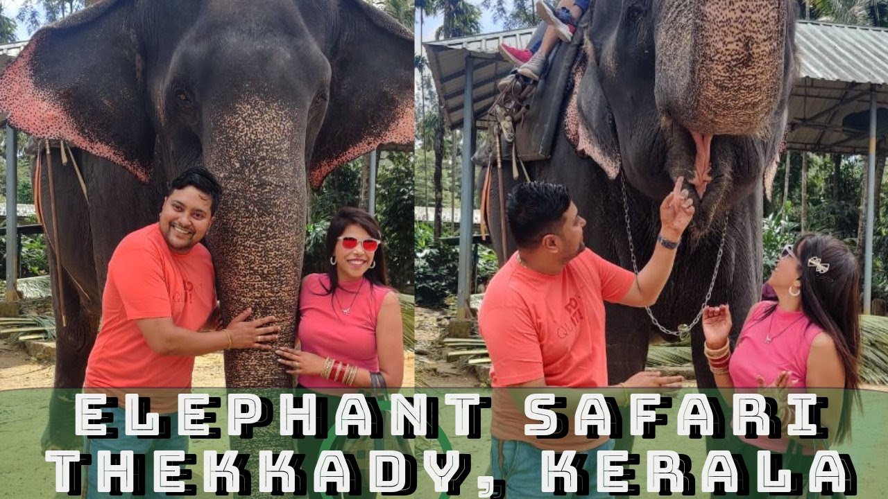 Thekkady Elephant Safari, KTDC Aranya Niwas & Periyar Wildlife Sanctuary. An Informative Video.
