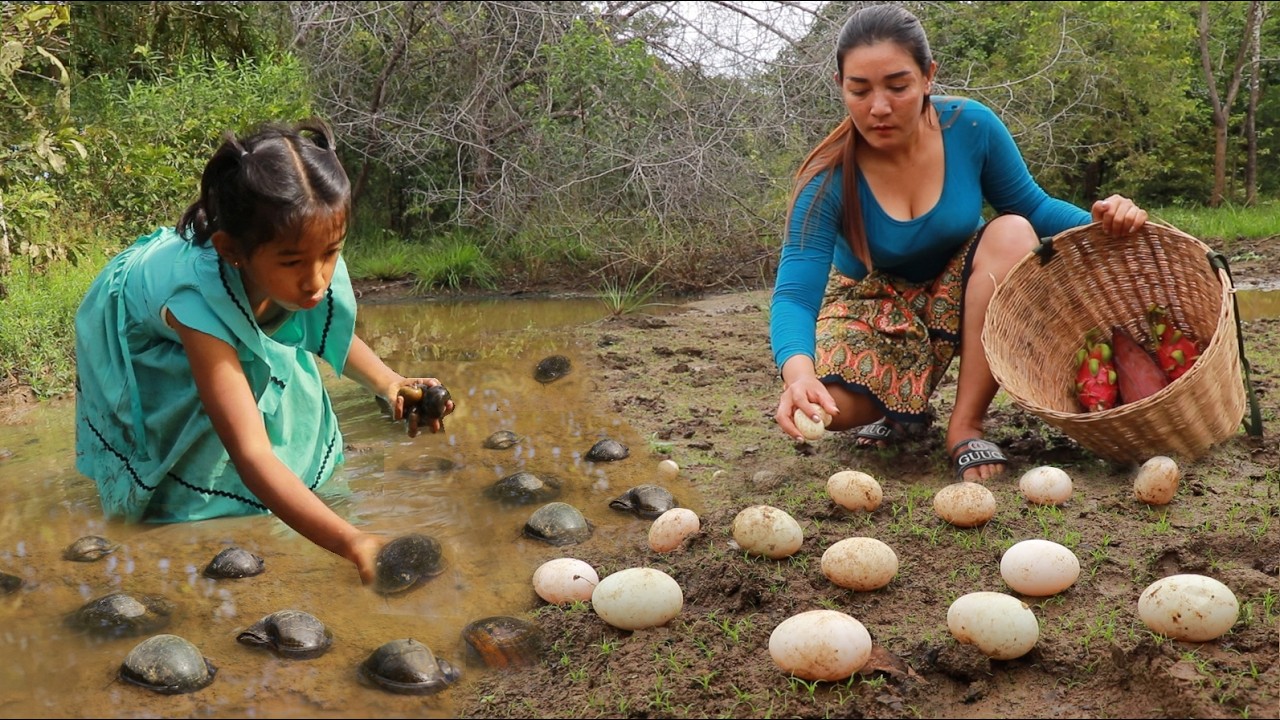 Catch eggs and snail for survival/ Cooking pork belly curry with eggs & Boiled snail for raw spicy