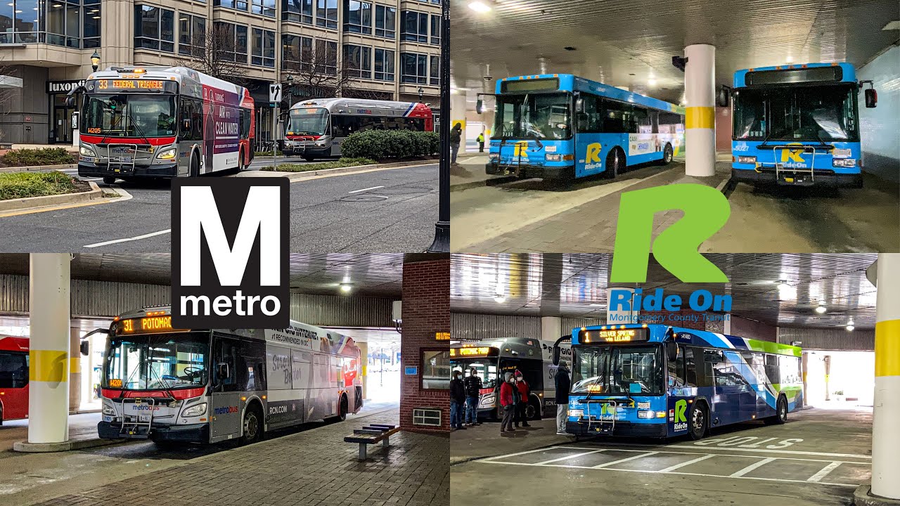 WMATA and Montgomery County Transit Ride-On Bus Mini Compilation at Friendship Heights