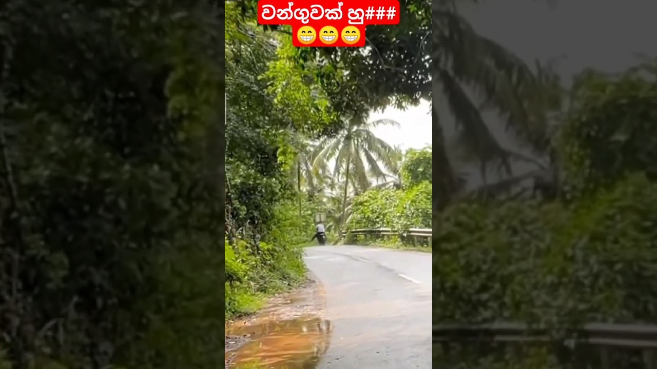 වන්ගුවක් හු### 😁😁😁ඉන්දියන් වලින් හැරවෙන්නෙම නෑ නේ...#viral #viralvideo #vairalshort #bikelover
