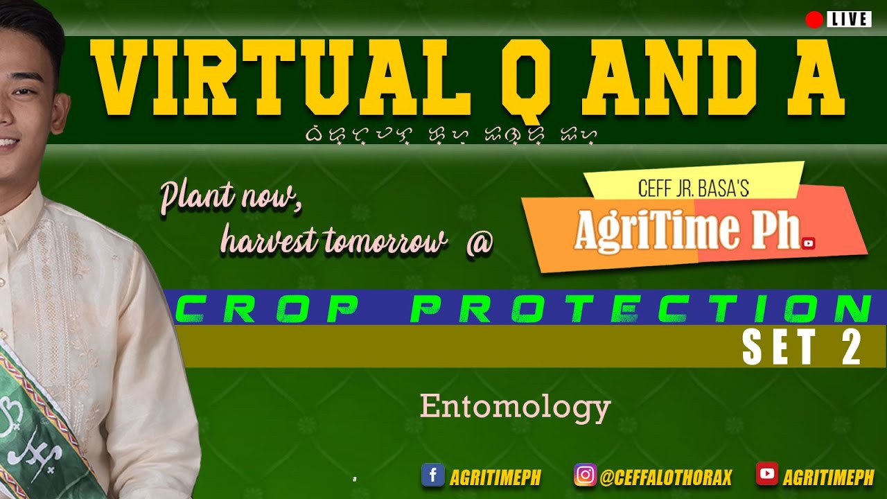 VIRTUAL Q AND A | CROP PROTECTION | SET 2 | Licensure Examination for Agriculturist Practice Test