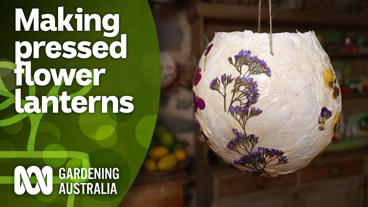 How to make pressed flower lanterns for Christmas decorating | DIY Projects | Gardening Australia