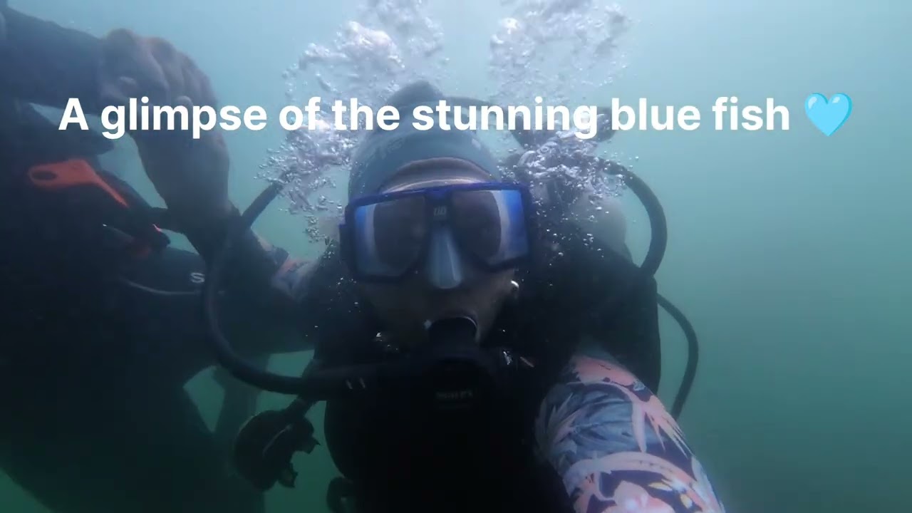 Scuba Diving Over 17 Mins at Netrani Island, Murudeshwar | Underwater Adventure with PADI Instructor