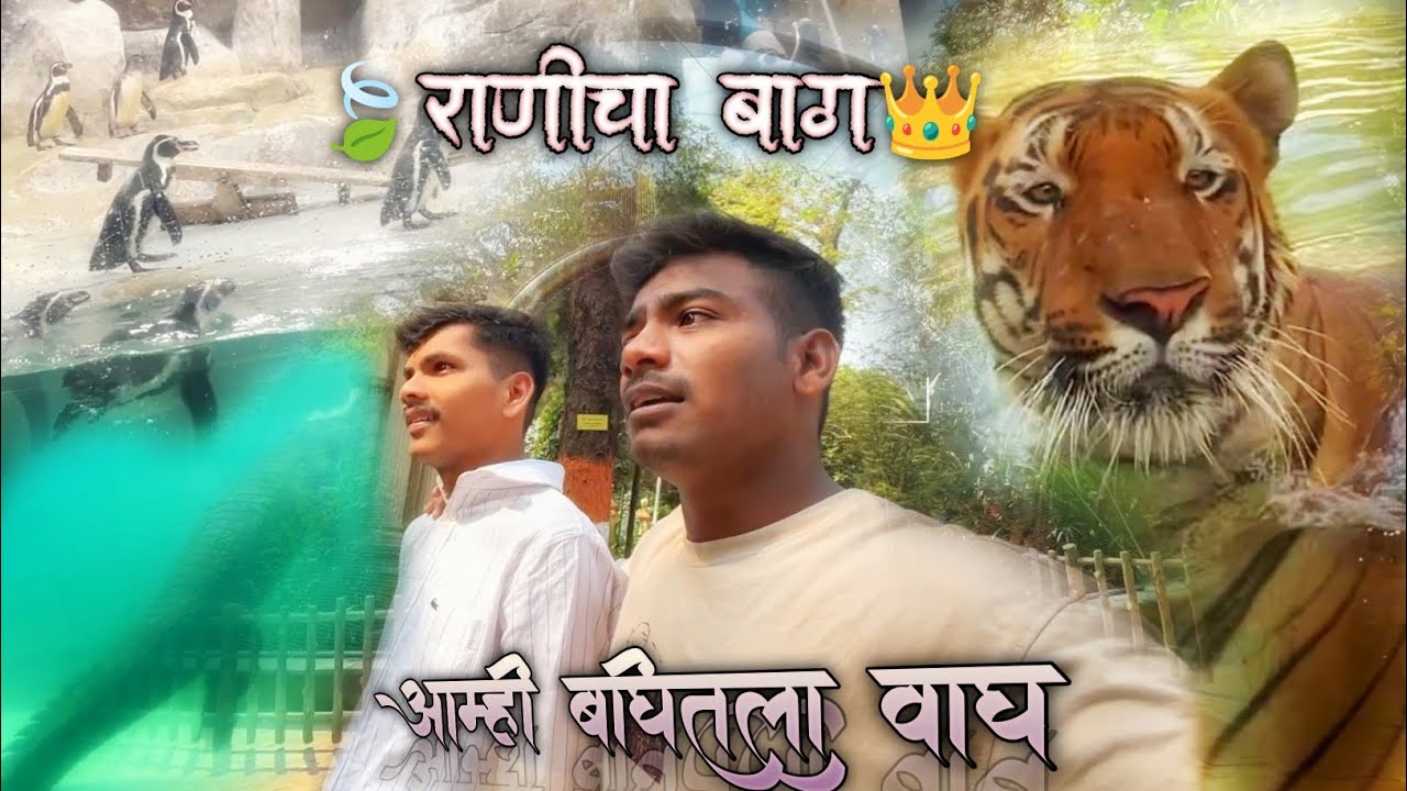 Mumbai zoo (राणीचा बाग)👑🍃🍃#मुंबई #ranicha bag #Mumbai zoo 