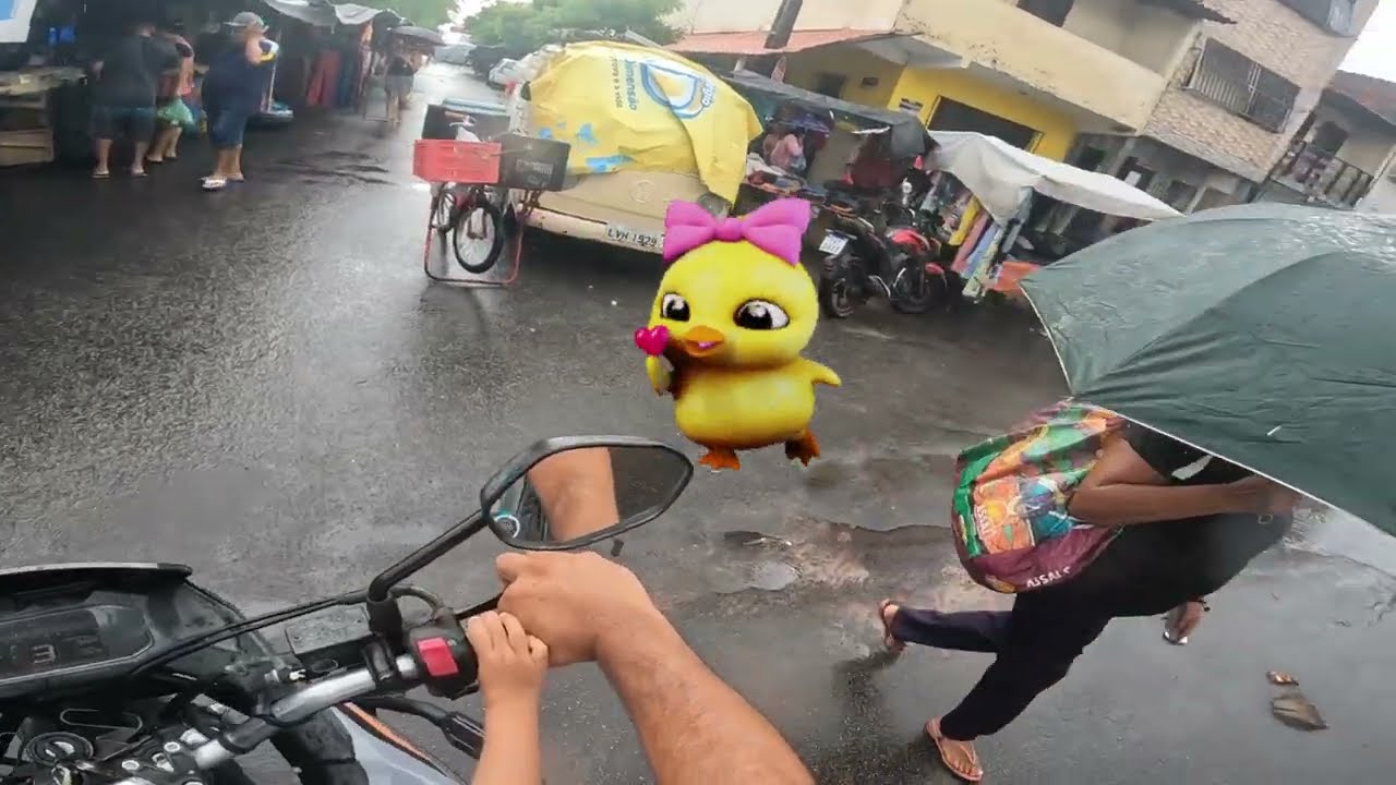 FEIRA LIVRE DEBAIXO DE CHUVA VICENTE PINZON AVENIDA DOLOR BARREIRA