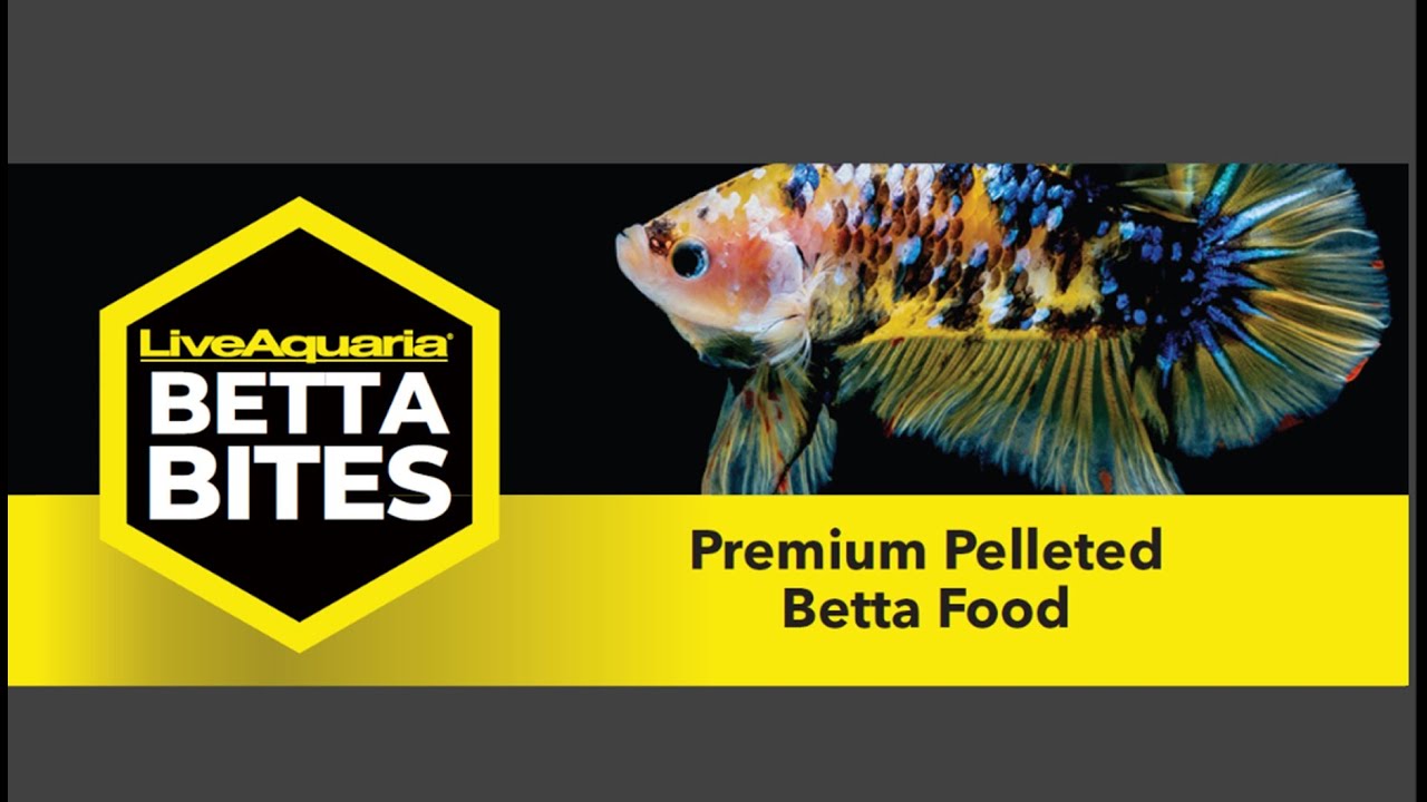 Tank Talk #1 -  Fish Nutrition, by Dr. Nick Saint-Erne