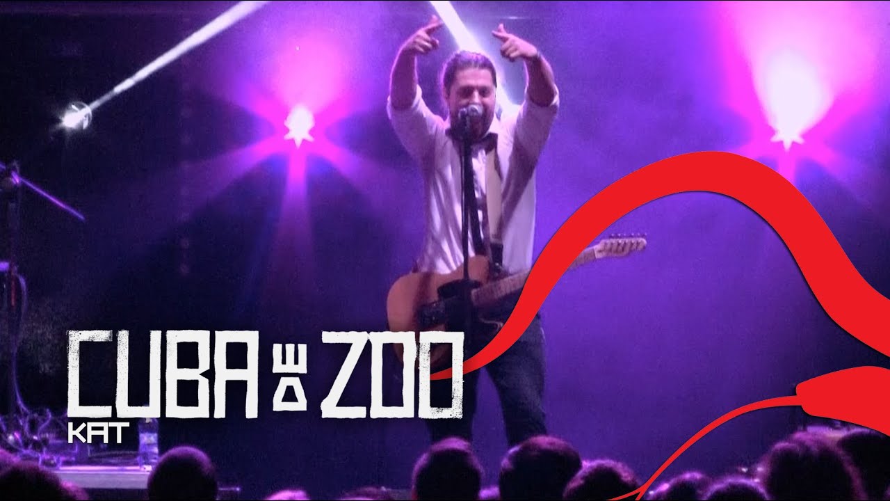 Cuba de Zoo - Kat