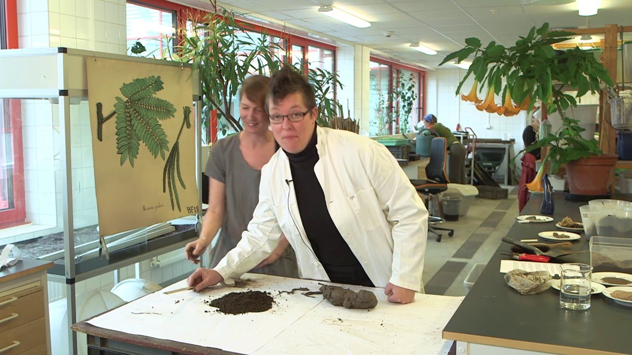 Jord och jordkunskap . Visste du att allt det här finns i jorden? Stockholm universitet berättar