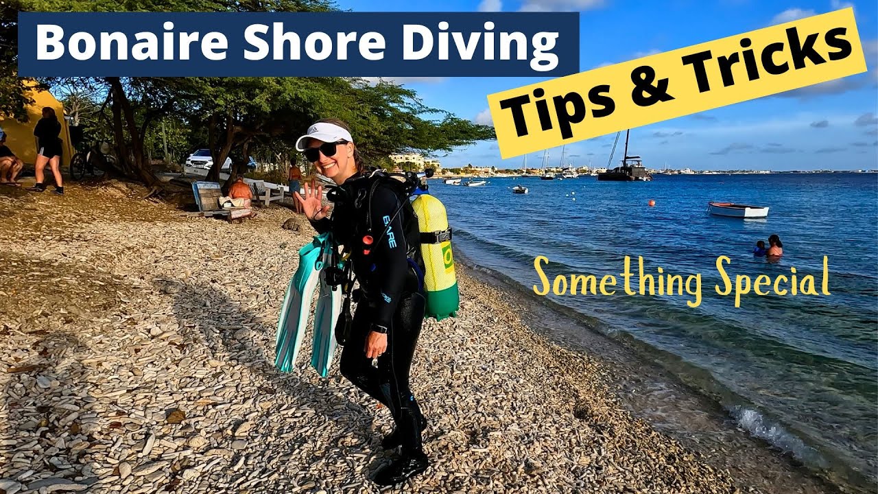 Bonaire Shore Diving Tips & Tricks - Something Special