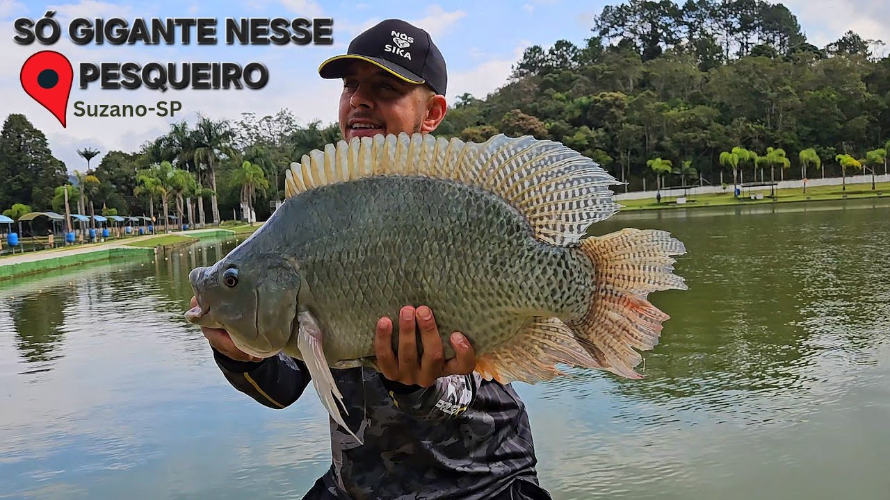 PESQUEI s&oacute; Peixe GIGANTE !!! Til&aacute;pia BRUTA no Anzol a PESCARIA toda