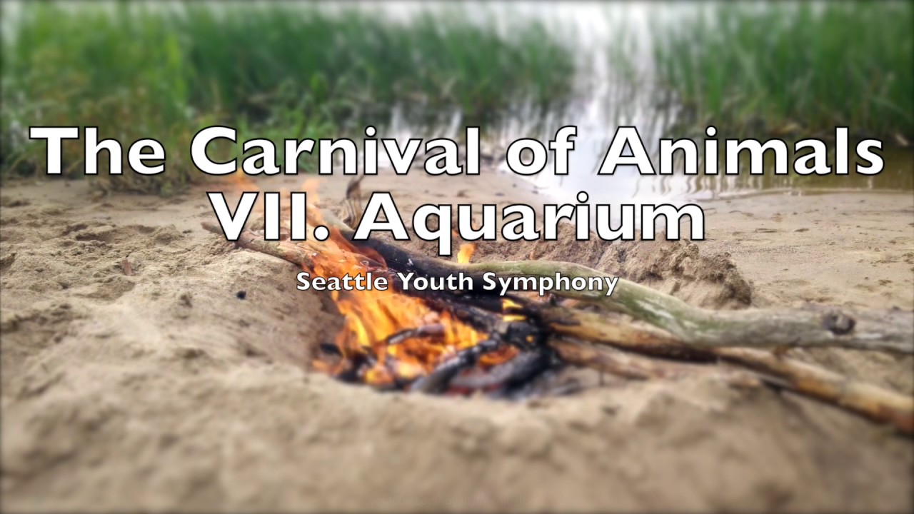 The Carnival of Animals VII Aquarium |  Camille Saint-Sa&euml;ns 1 HOUR Loop Le carnaval des animaux