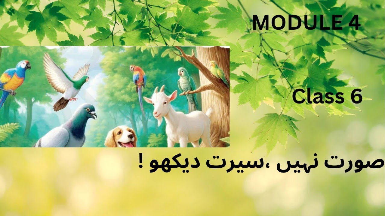Class 6 urdu chapter 4 