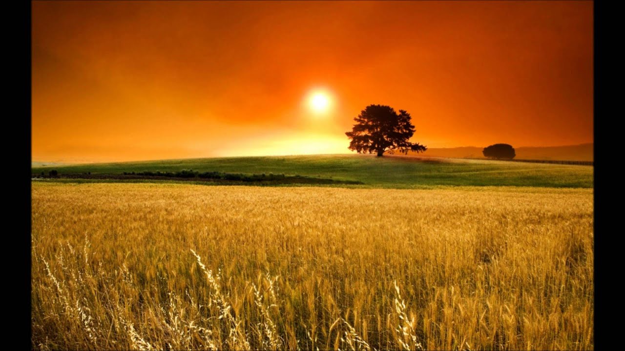 The Sunnah of Positive Thinking