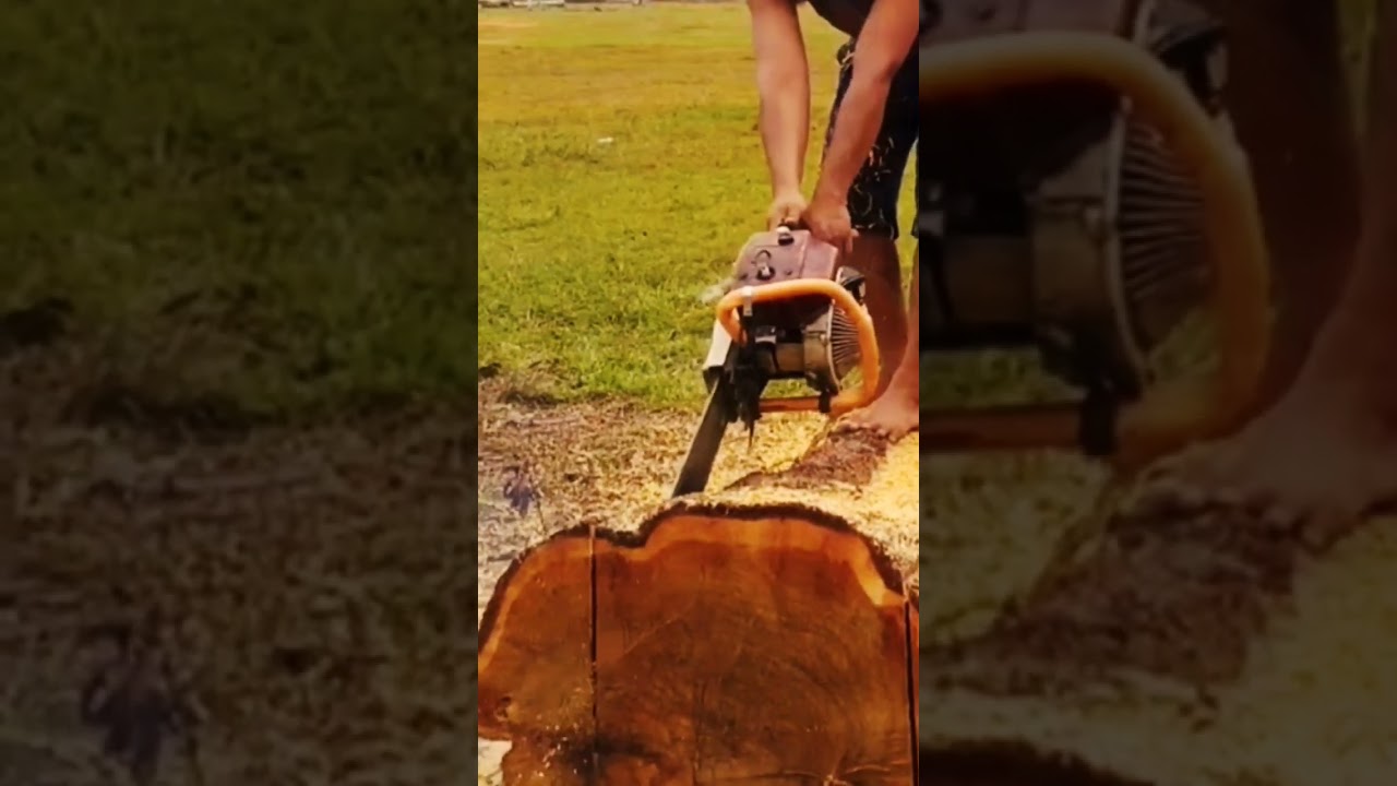 chainsaw melawan kerasnya kayu #woodworking #sensower #senso
