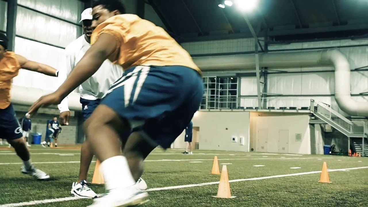 Georgia Tech Football: I Will...