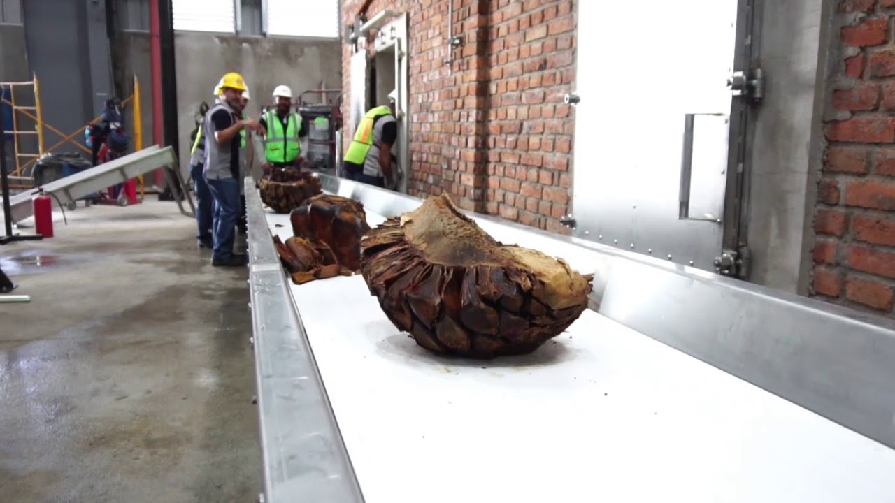 fijal&reg;  entrega de tren de molienda para Tequila Patron