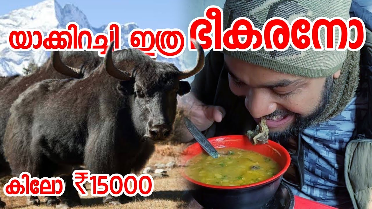 EP5 15000 രൂപയുടെ യാക്കിറച്ചി നെഞ്ച് കാളിച്ച ദിനം Tibetan Local Yak Meat Soup Preparation