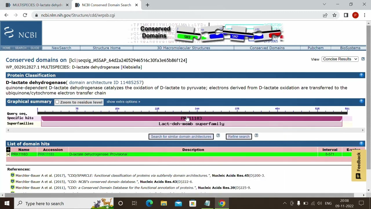 conserved domain in protein finding