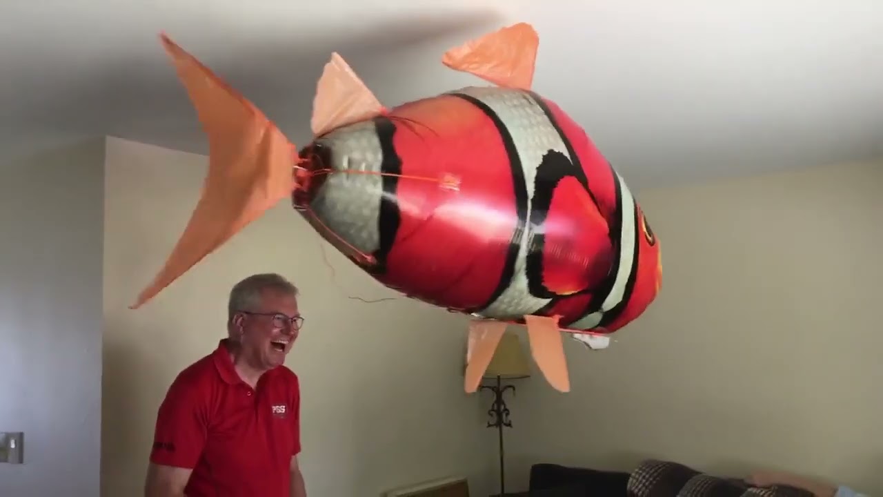 The Orange Video (Helium Clown Fish) @ L. Jay Reinke