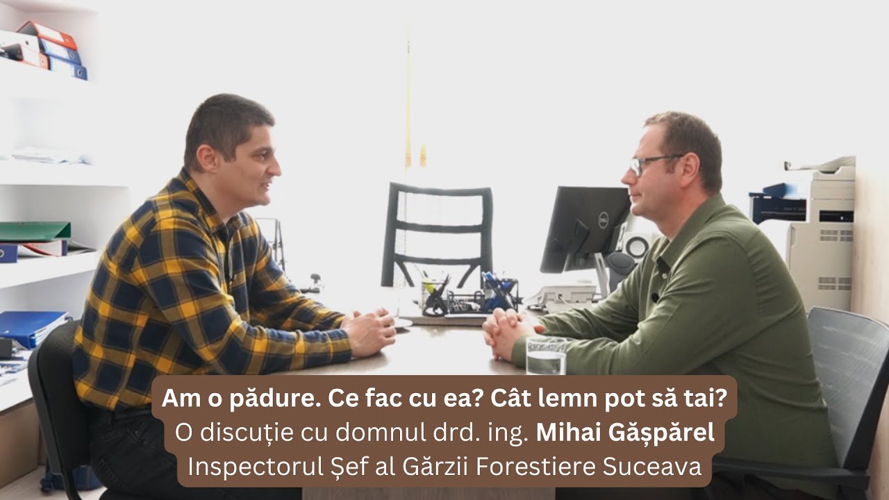 Am o pădure. Ce fac cu ea? Cât lemn pot să tai?