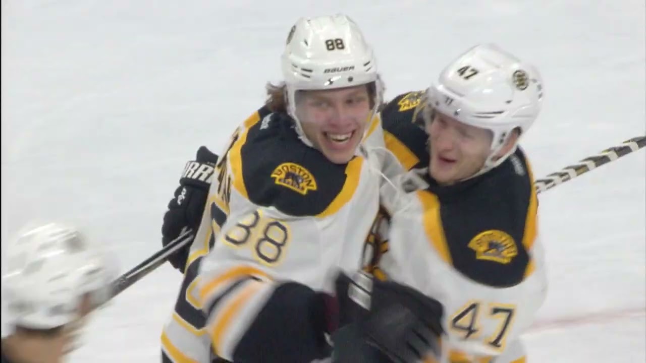 Boston Bruins: 100 Years Historical Hype