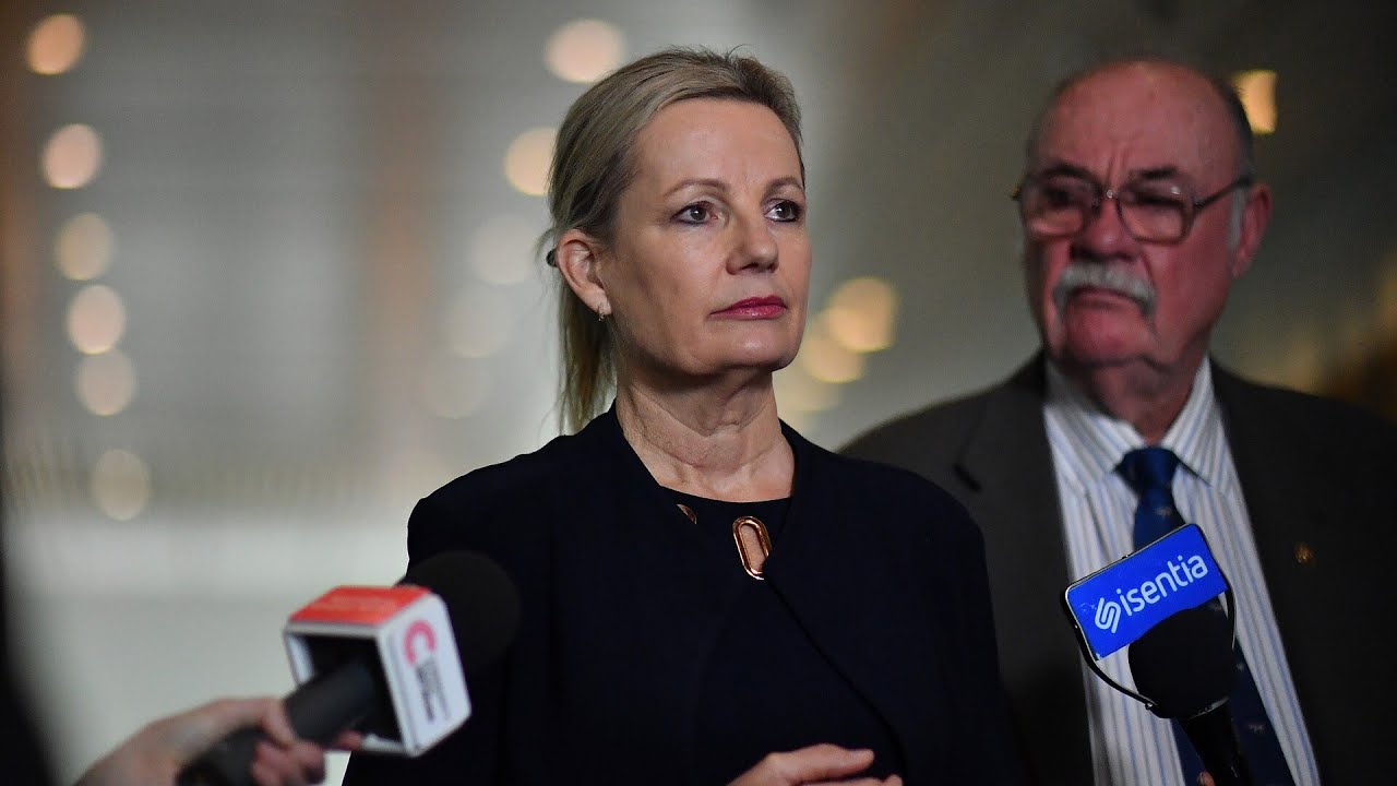 Sussan Ley may have to ‘call it a day’ as net-zero policy splits the Liberals