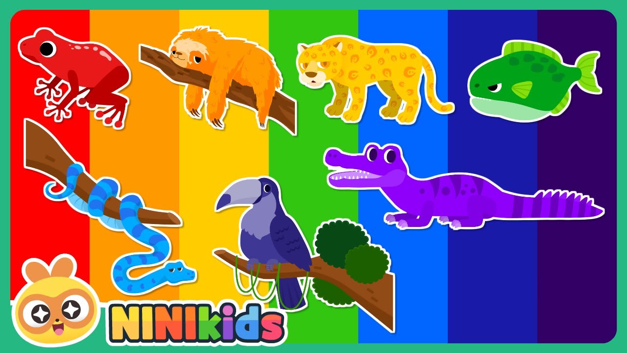 What animal is it? | Shadow Animal Play | Rainbow Amazon Animal | Match the Animals | Word Play