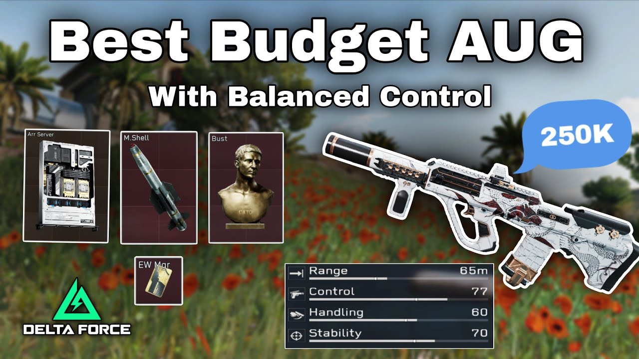 Playing With Budget AUG!! Delta Force Mobile