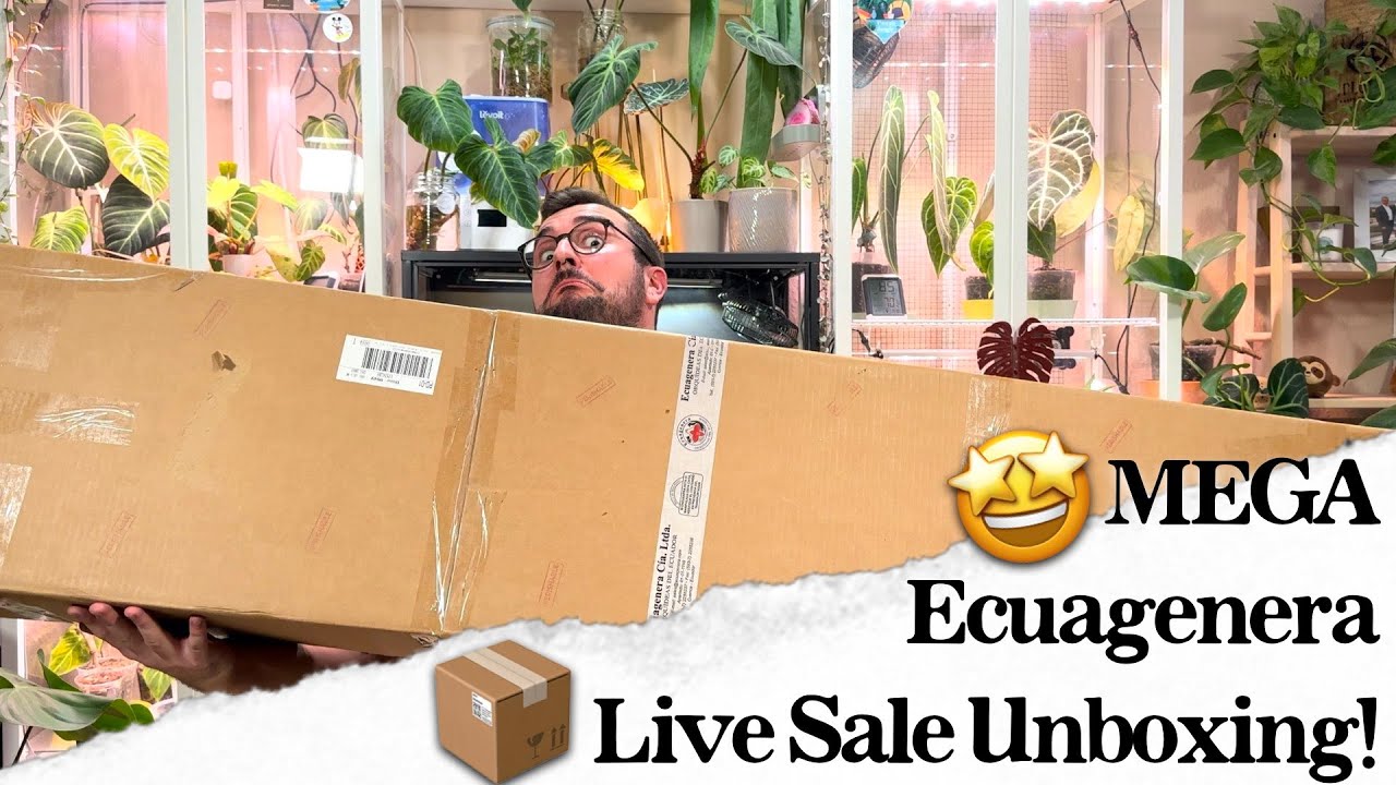 GRÖßTES Ecuagenera Live Sale Unboxing ever! 🤩
