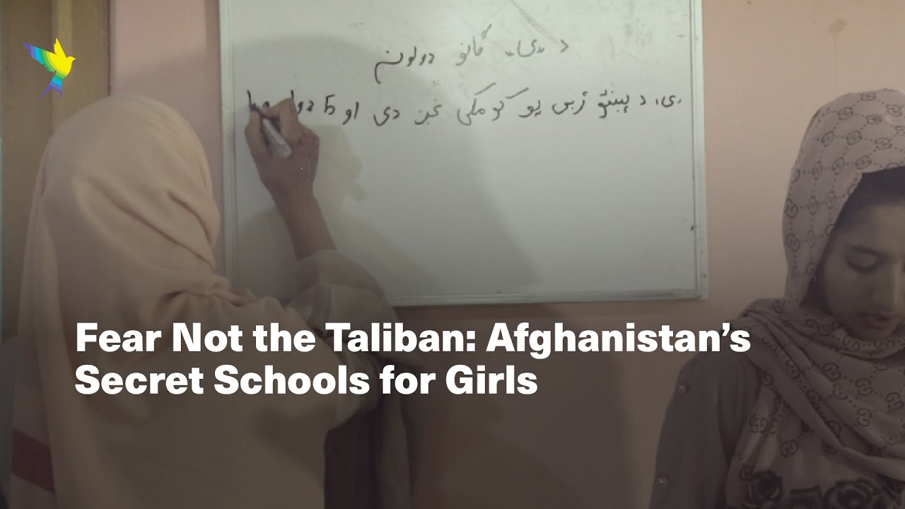 'We Don't Fear the Taliban': Afghanistan's Secret Schools for Girls