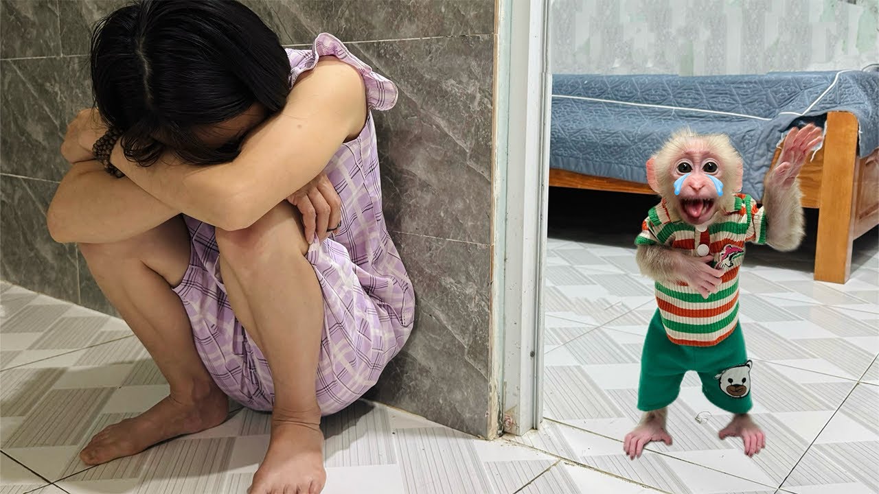 Monkey Abu cried and ran to find Mom asking for milk
