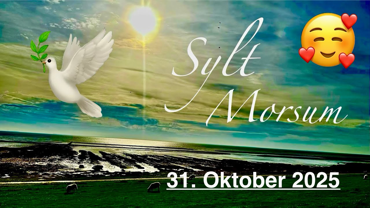 Sylt 💞 Morsum und Umgebung 🥰
