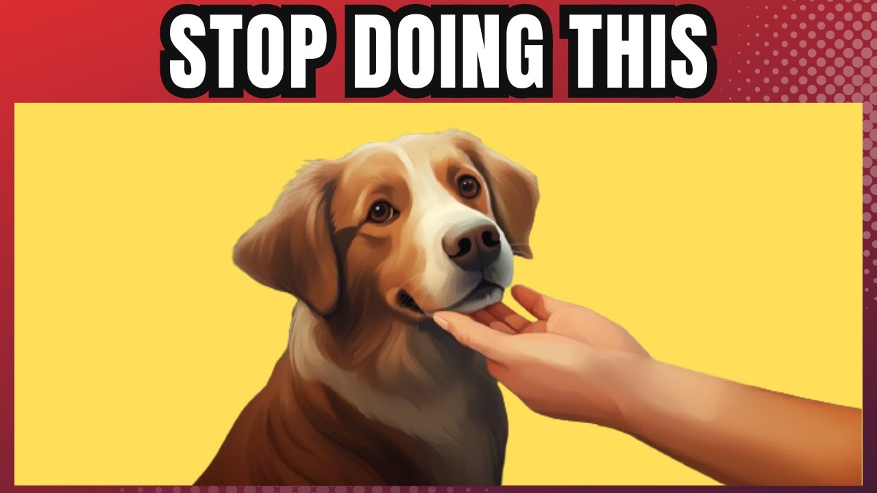 15 Things You Must Stop Doing To Your Dog