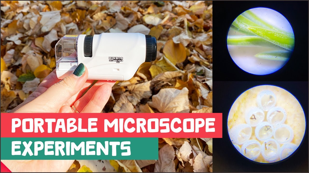 Portable Microscope testing and experimenting with | Aliexpress gadget for $17 | Technology teacher