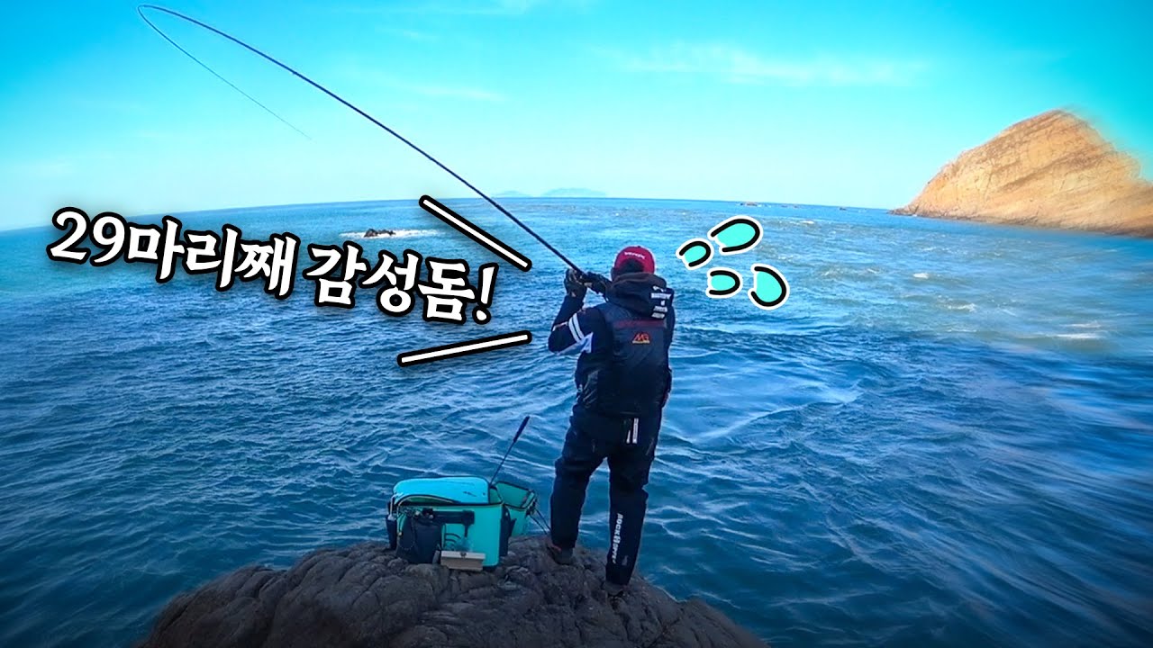 팔 아파 죽는 줄! ... 감성돔 낚다 낚다 핸드폰 물에 빠뜨리고 팔에 엘보 온 사연