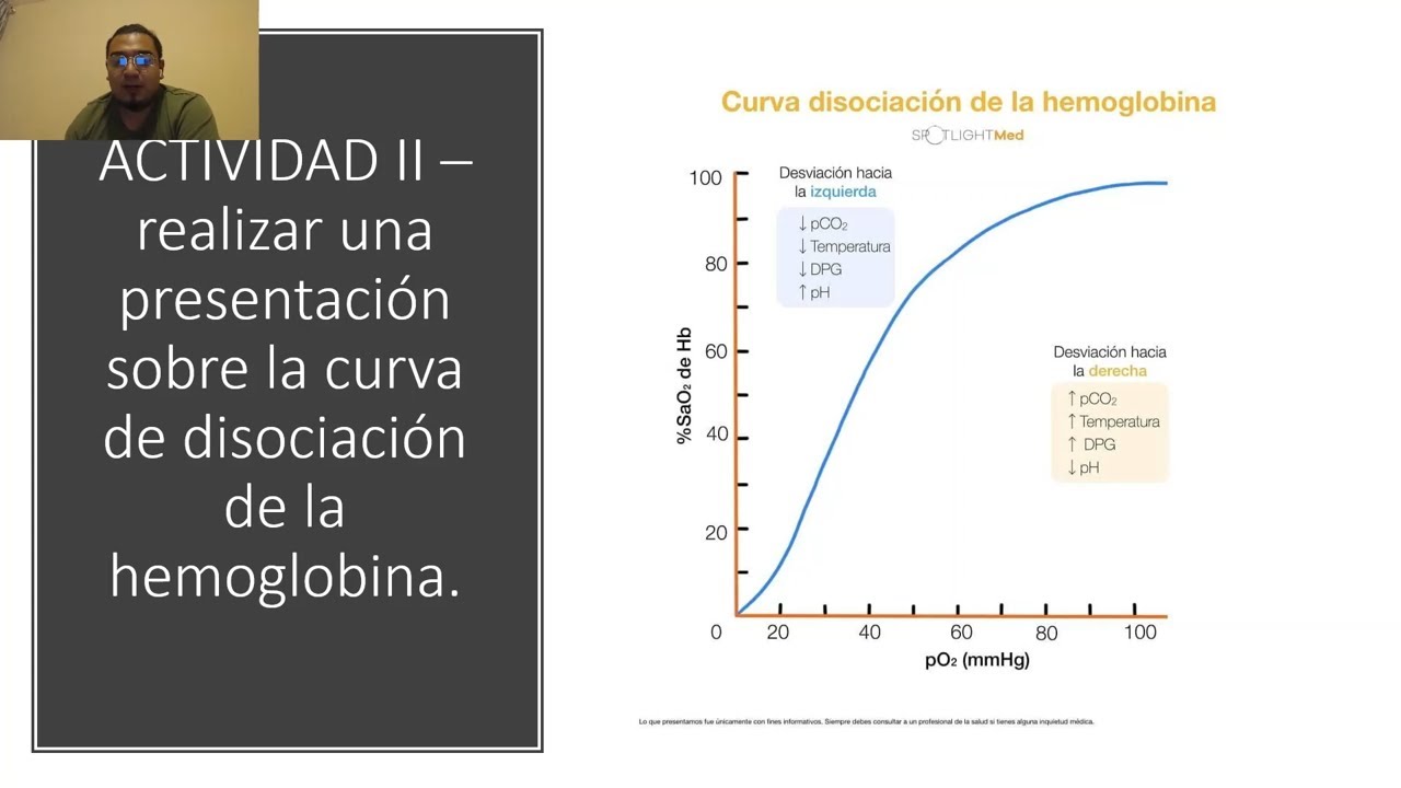 Curva de disociaci&oacute;n de la hemoglobina| Efecto Bohr y Haldane