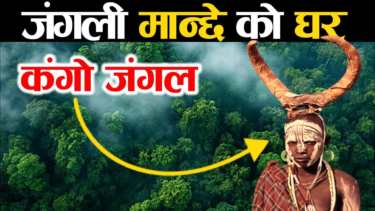 कंगो जंगल जहा छ यस्तो || Facts About The Congo Rainforest || KNK ADVISE