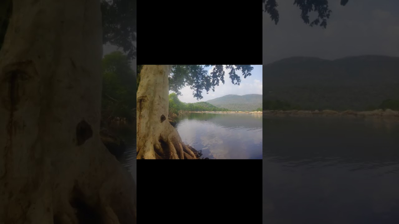 Shri Muttettaraaya Swami Temple (Muttatti) / Cauvery River