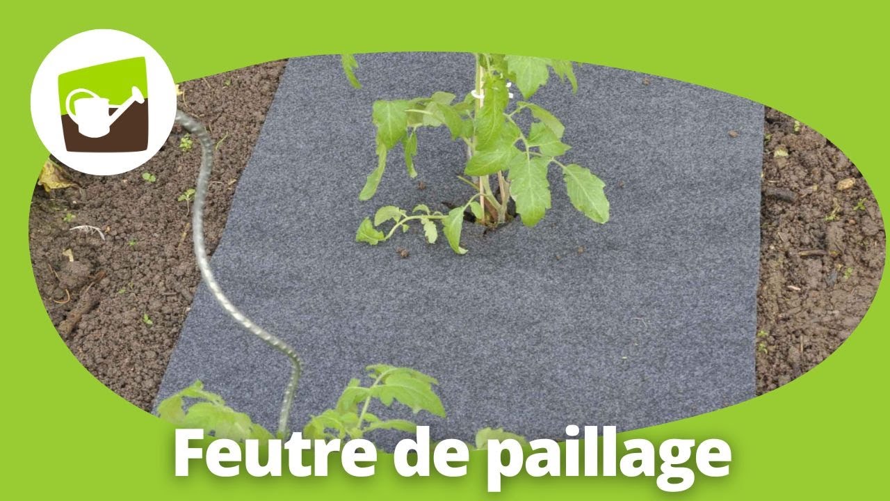 Comment installer un feutre de culture pour potager pr&eacute; perc&eacute; ?