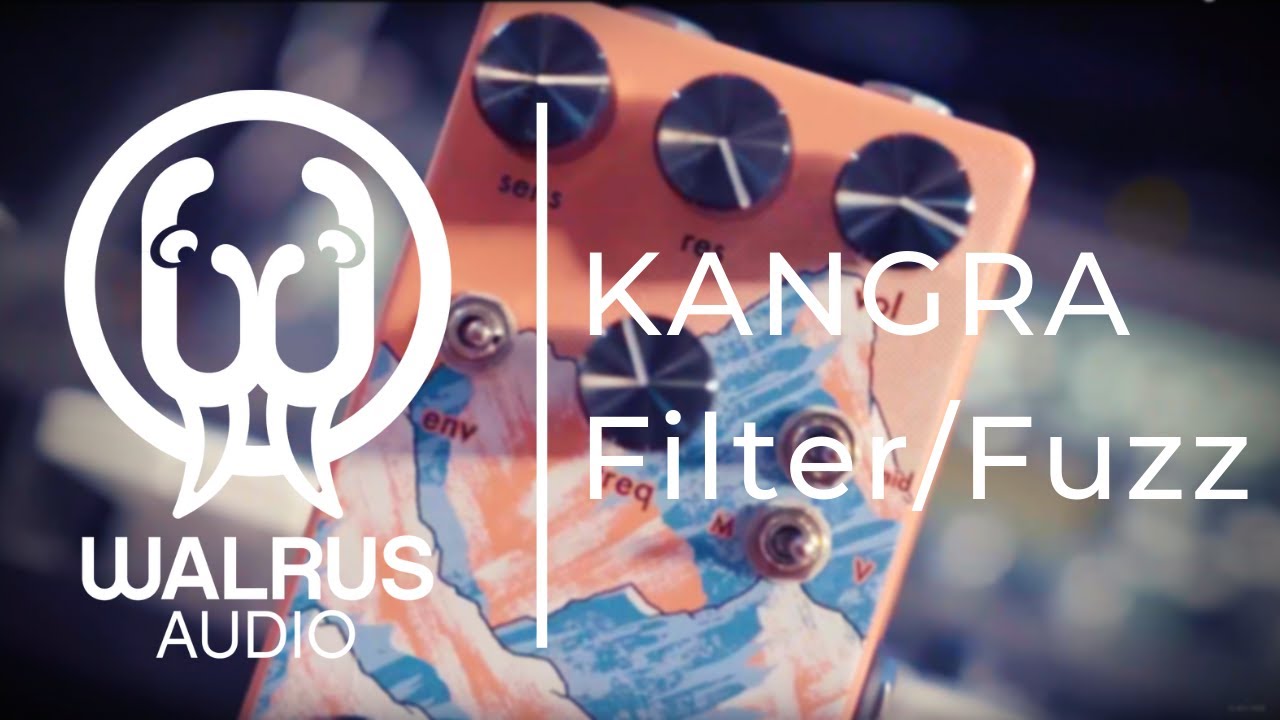 МЕНТАЛЬНОЕ В КОРОБКЕ | Фильтр/Fuzz от Walrus Kangra